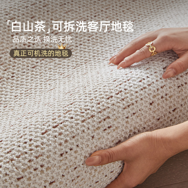 白山茶可拆洗地毯2026新款奶油风可机洗简约轻奢高级感卧室非印染