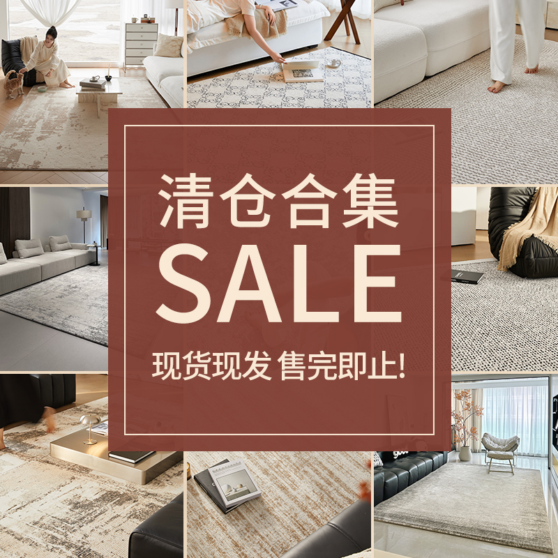 无胶防水地毯客厅2024新款抗污