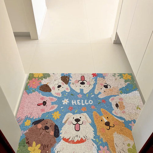 卡通入户地垫家用防滑丝圈脚垫