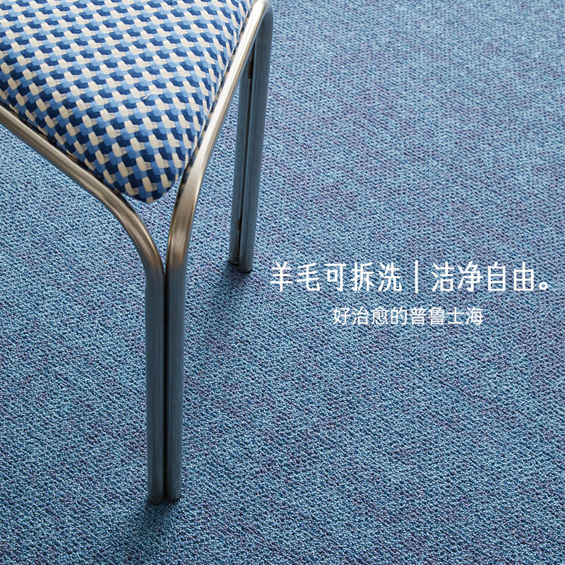 中古风羊毛可拆洗双层地毯客厅卧室沙发可机洗高级感蓝色隔音地垫