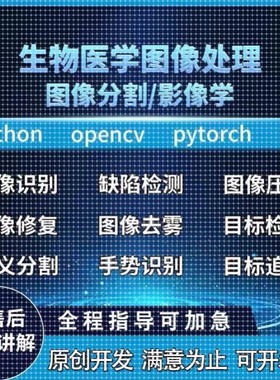 Python程序代编Pytorch医学图像分割Nlp代做CV人工智能深度学习
