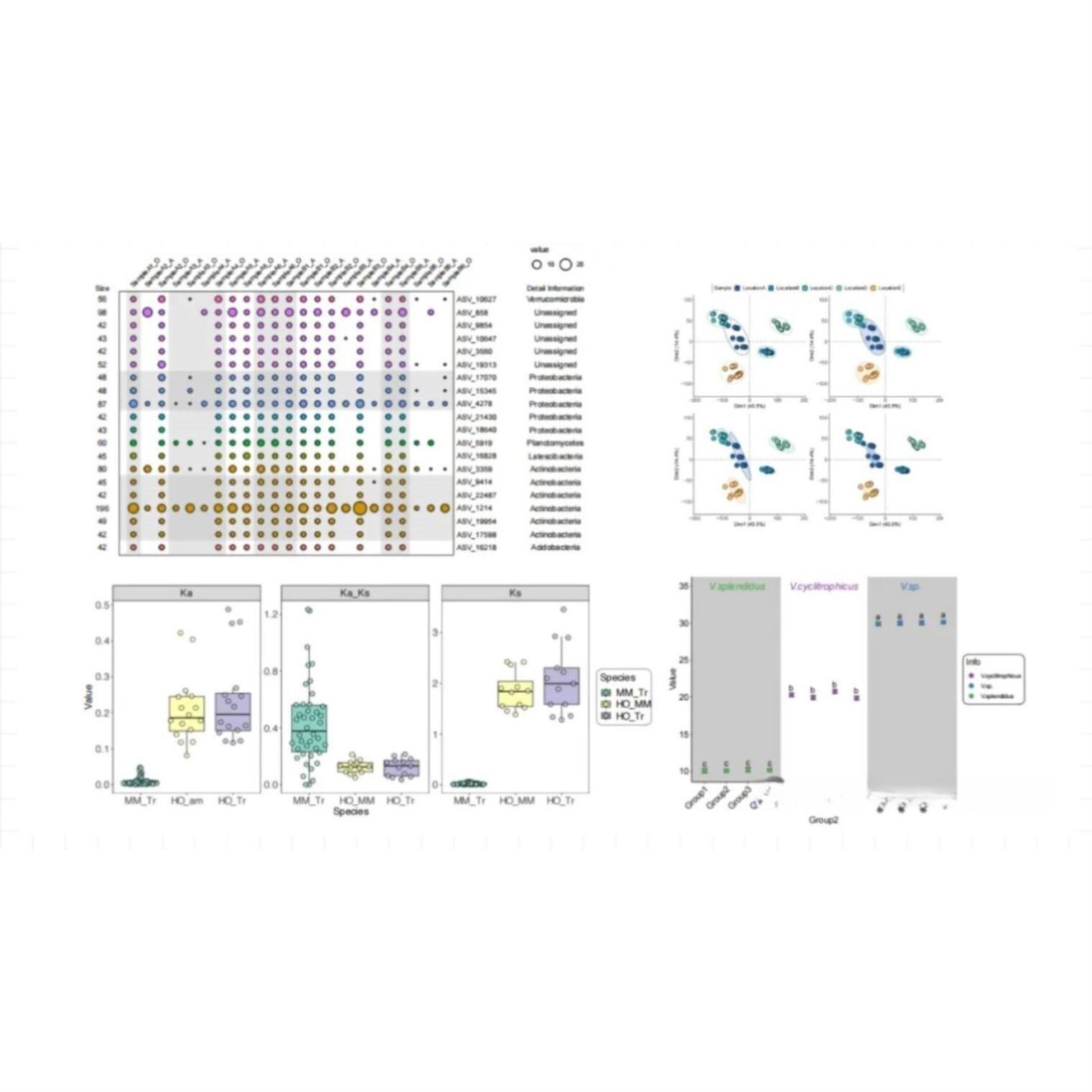 生信分析GBD数据分析/NHANES数据库/孟德尔随机化多组学联合分析