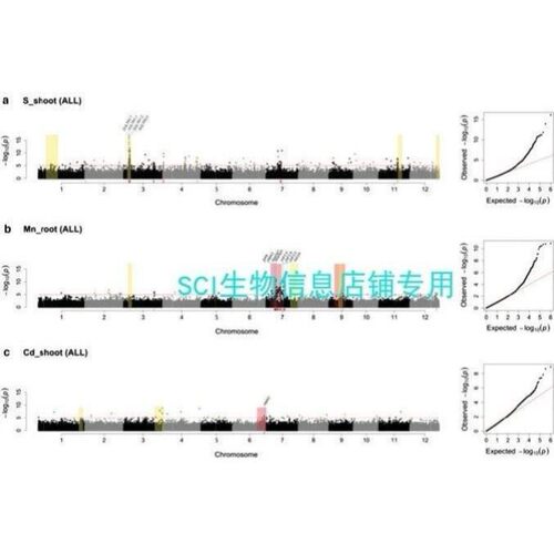 BSA数据分析/基因单倍型分析/QTL定位分析/定位区间数据提取