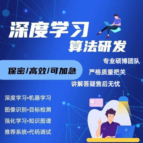 深度学习机器学习神经网络代做目标检测语义分割自然语言处理