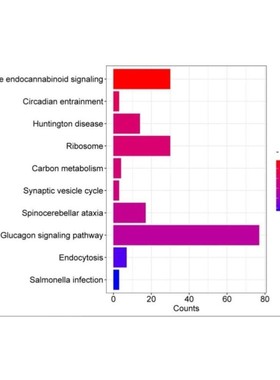 ChIPseq/CUTtag/RIPseq分析,会议进行结果讲解