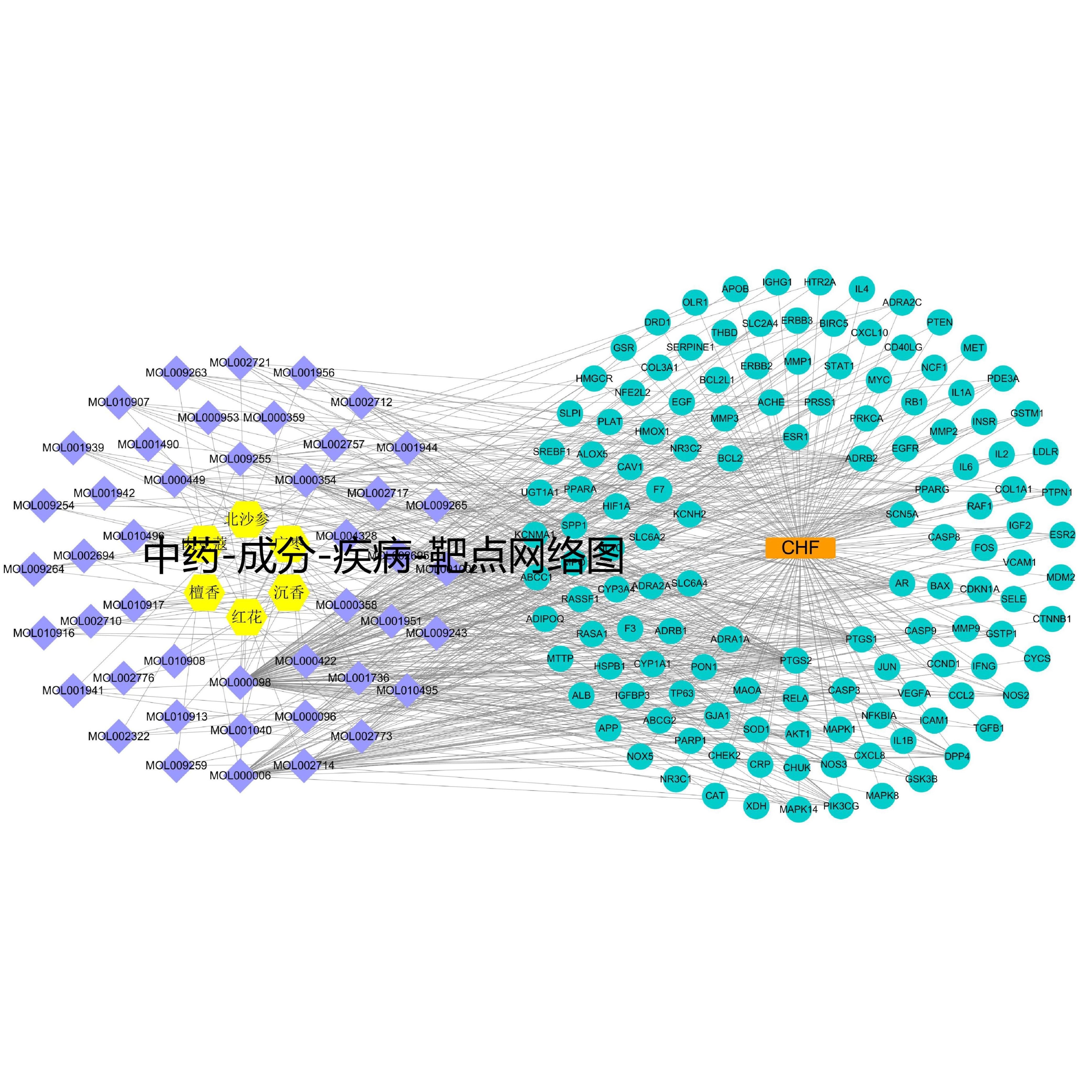 网络药理学—代做 GO富集 KEGG富集 PPI 拓扑分析 聚类分析