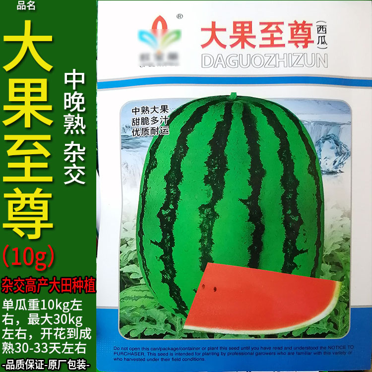大果至尊10g西瓜超甜水果种子孑籽高产夏瓜寒瓜青门绿玉房大棚大