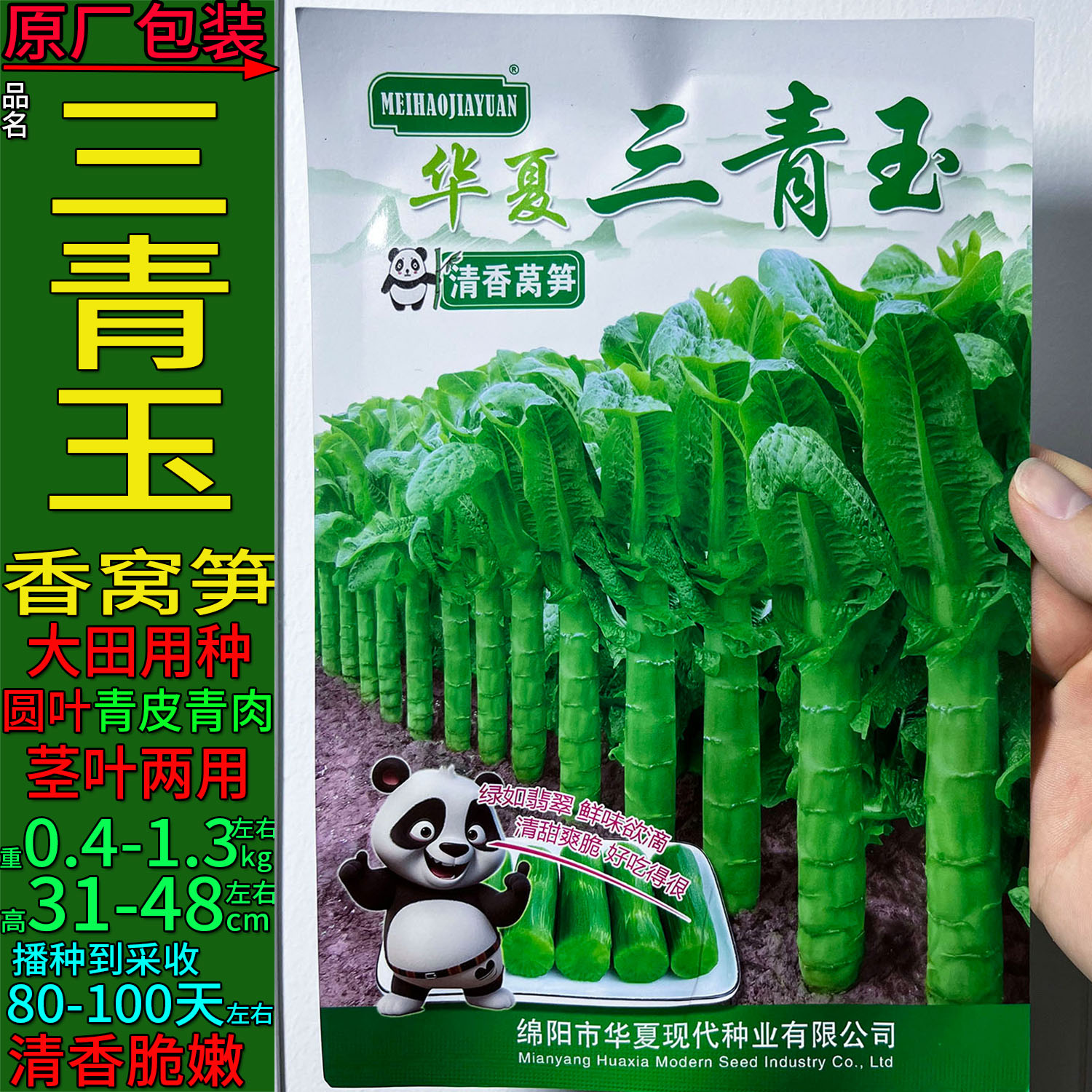 青皮肉深绿香莴笋菜种子耐寒高产