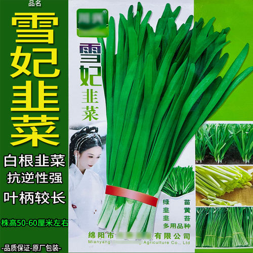 粗胖韭菜种子可以用来做烧烤串串