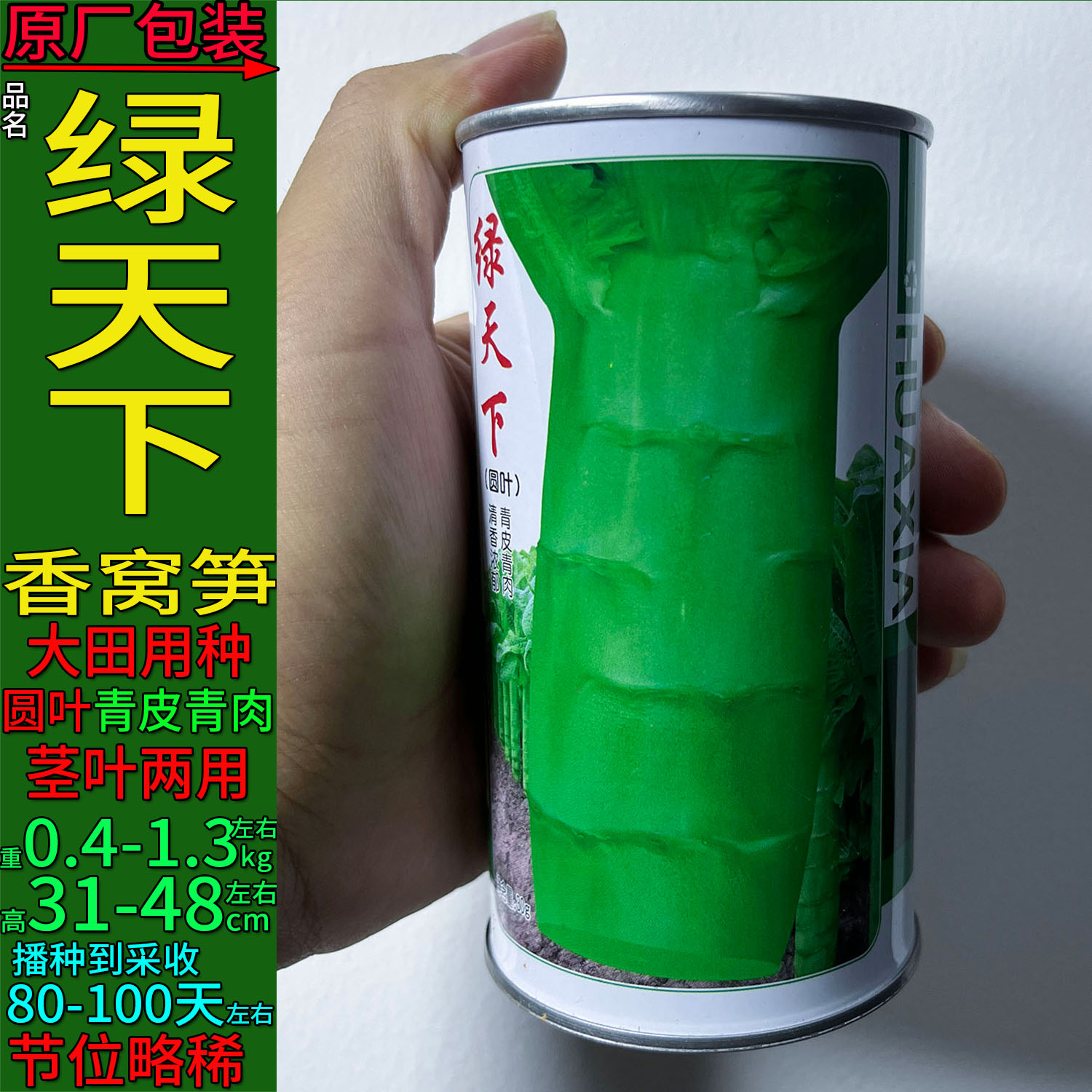 耐寒莴笋种子高产圆叶青皮绿肉