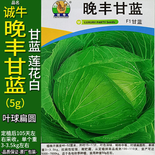 诚牛晚丰5g甘蓝莲花白扁圆蔬菜种子孑籽卷心包菜椰洋圆芥蓝白高丽