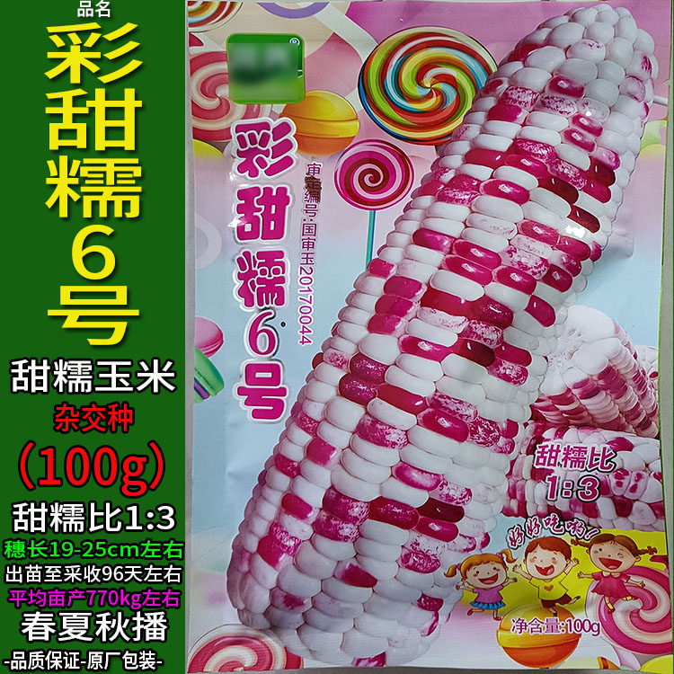 彩色玉米杂粮种子孑籽又甜又糯