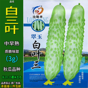翠玉白叶三白黄瓜种子孑籽杂交高产春夏秋蔬菜籽别名胡瓜王瓜勤