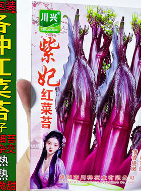 苔粗苔多脆甜红菜苔种子杂交高产