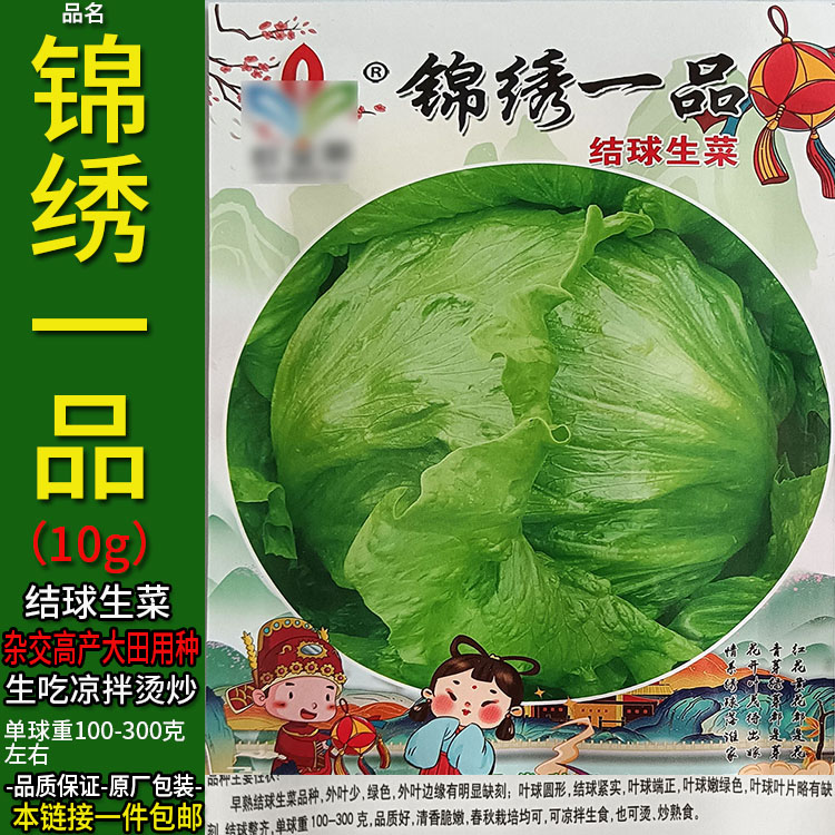 锦绣一品10g结球生菜种子孑籽玻