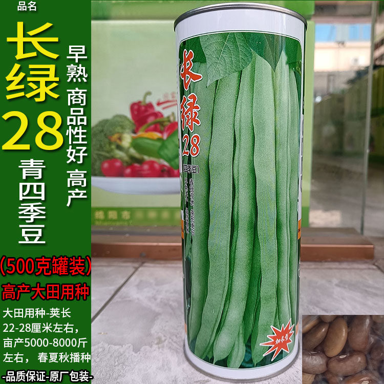 长绿28-500g红花青荚四季豆蔬菜种子孑籽架豆芸豆刀豆芸扁豆菜