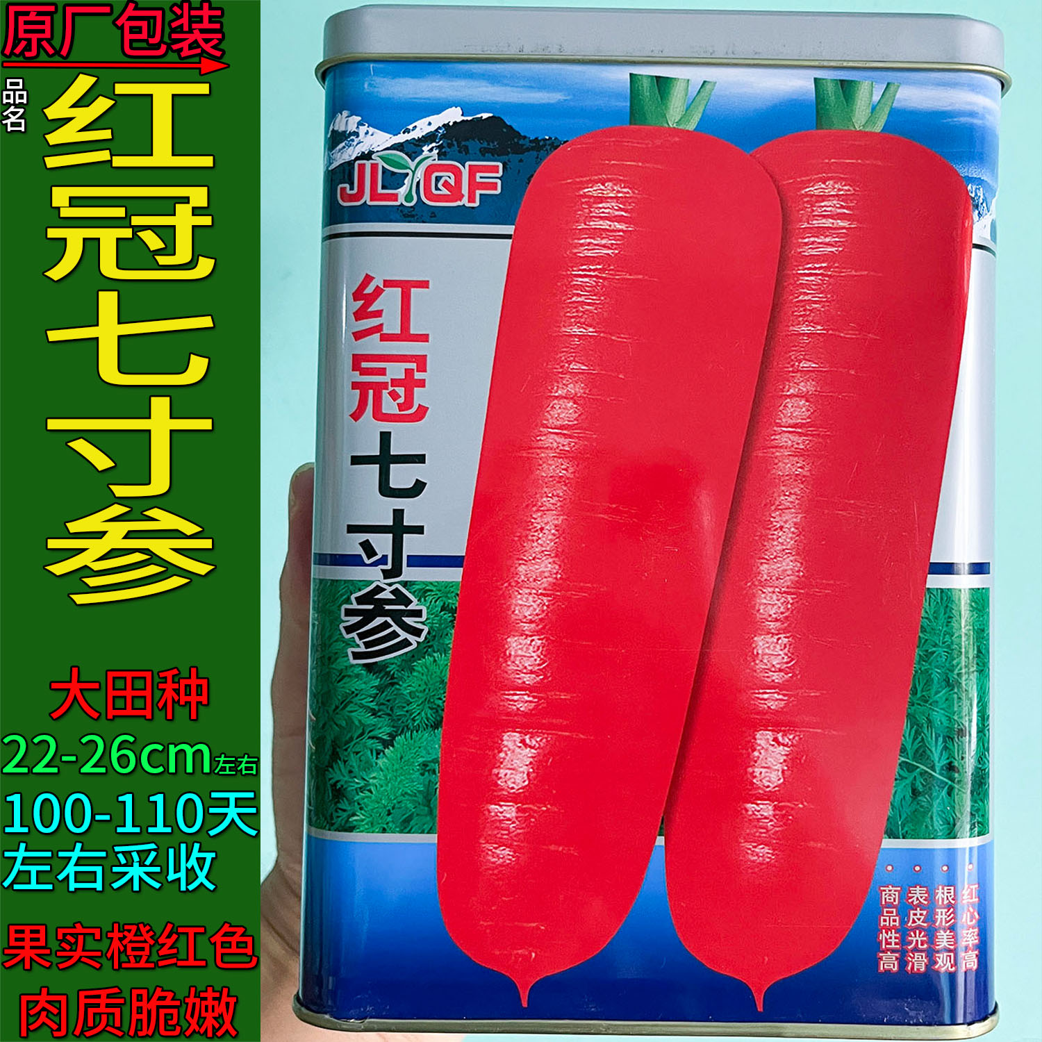红冠七寸参300g胡萝卜种子孑红萝