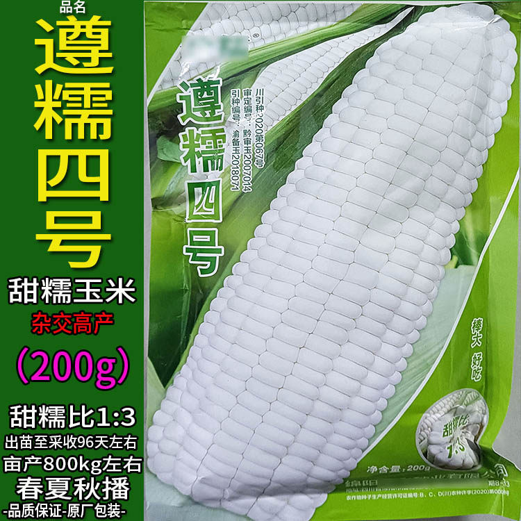 遵糯四号杂交白色甜又糯玉米种子