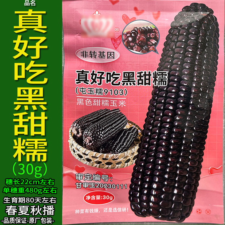 真好吃黑甜糯30g黑色又甜又糯玉米杂粮种子孑籽高产别名包谷包谷