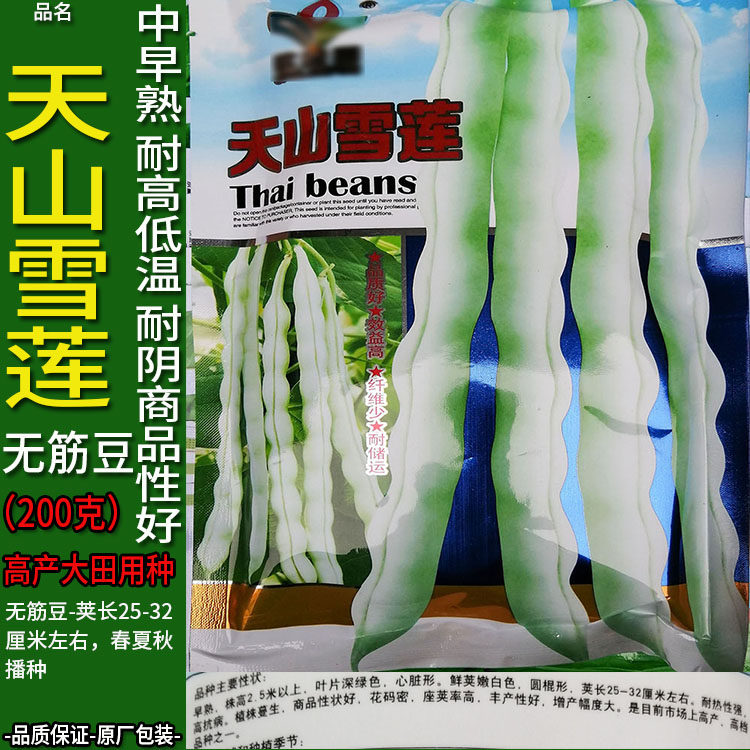 天山雪莲200g白色无筋四季豆蔬菜种子孑籽架豆芸豆刀豆芸扁豆菜