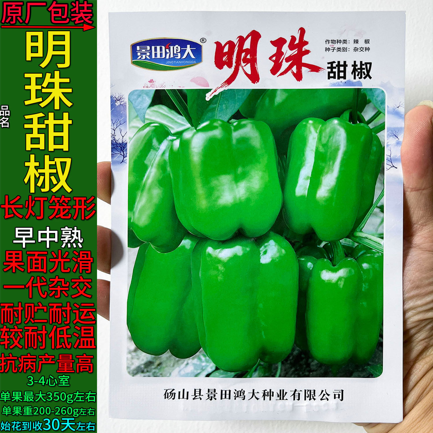 明珠大甜椒辣椒蔬菜种子杂交高产