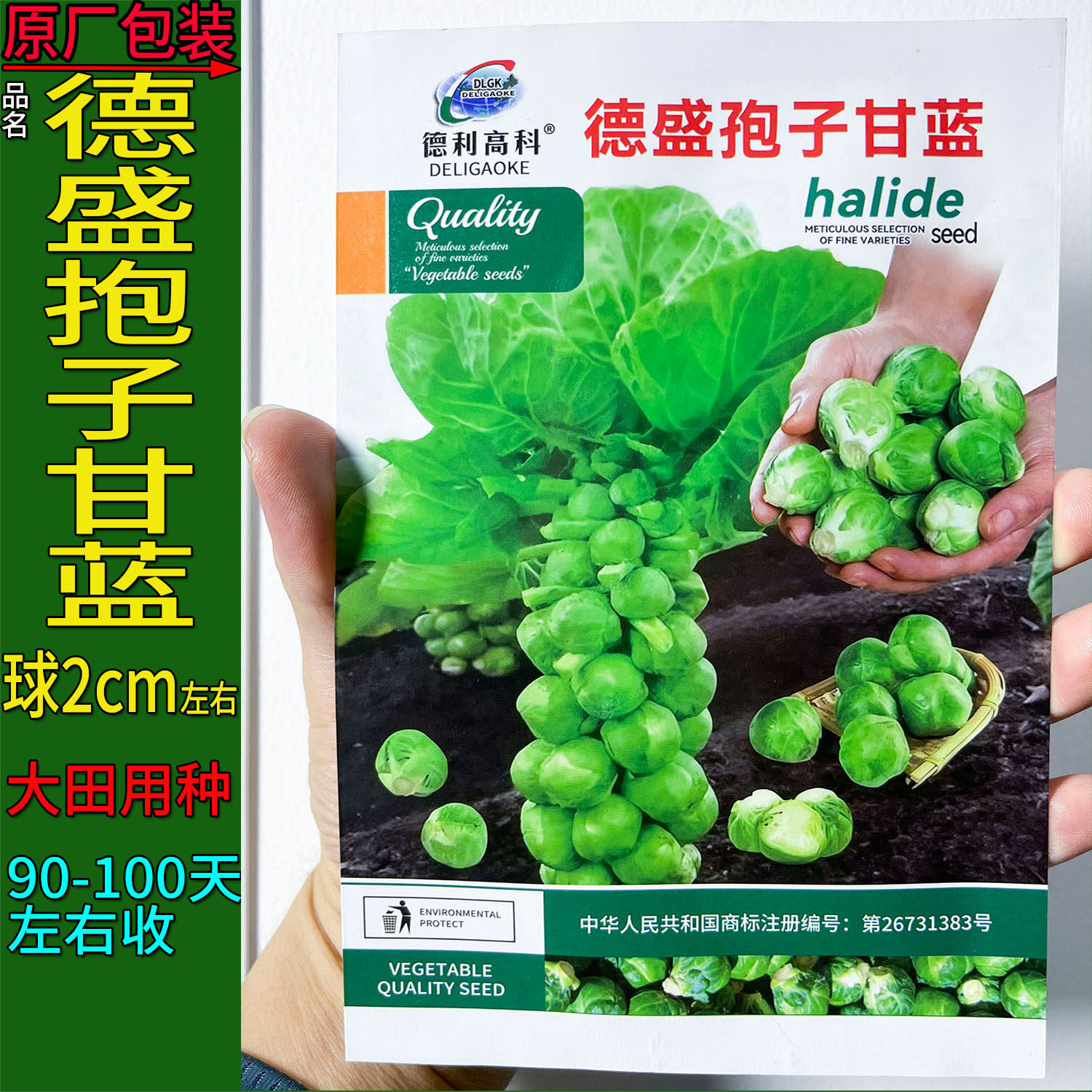 抱子甘蓝莲花白小圆球芽蔬菜种子