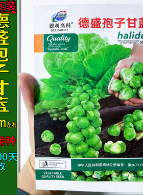 抱子甘蓝莲花白小圆球芽蔬菜种子