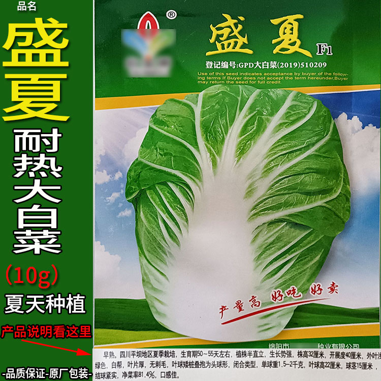 盛夏10g耐热大白菜蔬菜种子孑籽别名黄芽菜结球白菜包心白菜庭院