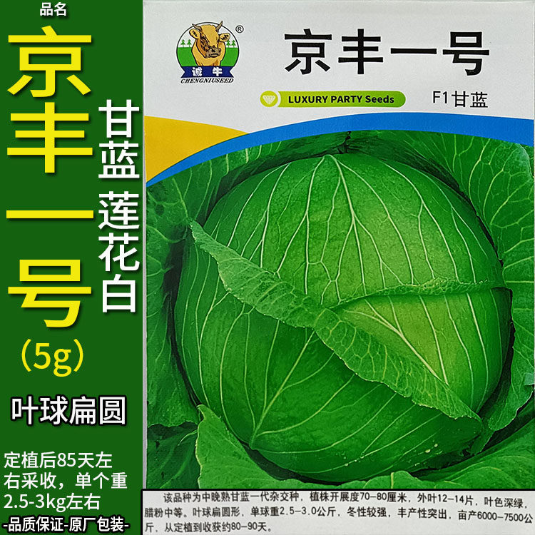 绿硕晚丰5g甘蓝莲花白扁圆蔬菜种子孑籽卷心包菜椰洋圆芥蓝白高丽