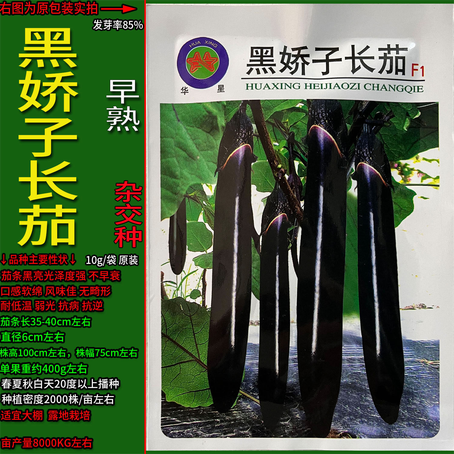 黑娇子长茄茄子种子蔬菜杂交高产