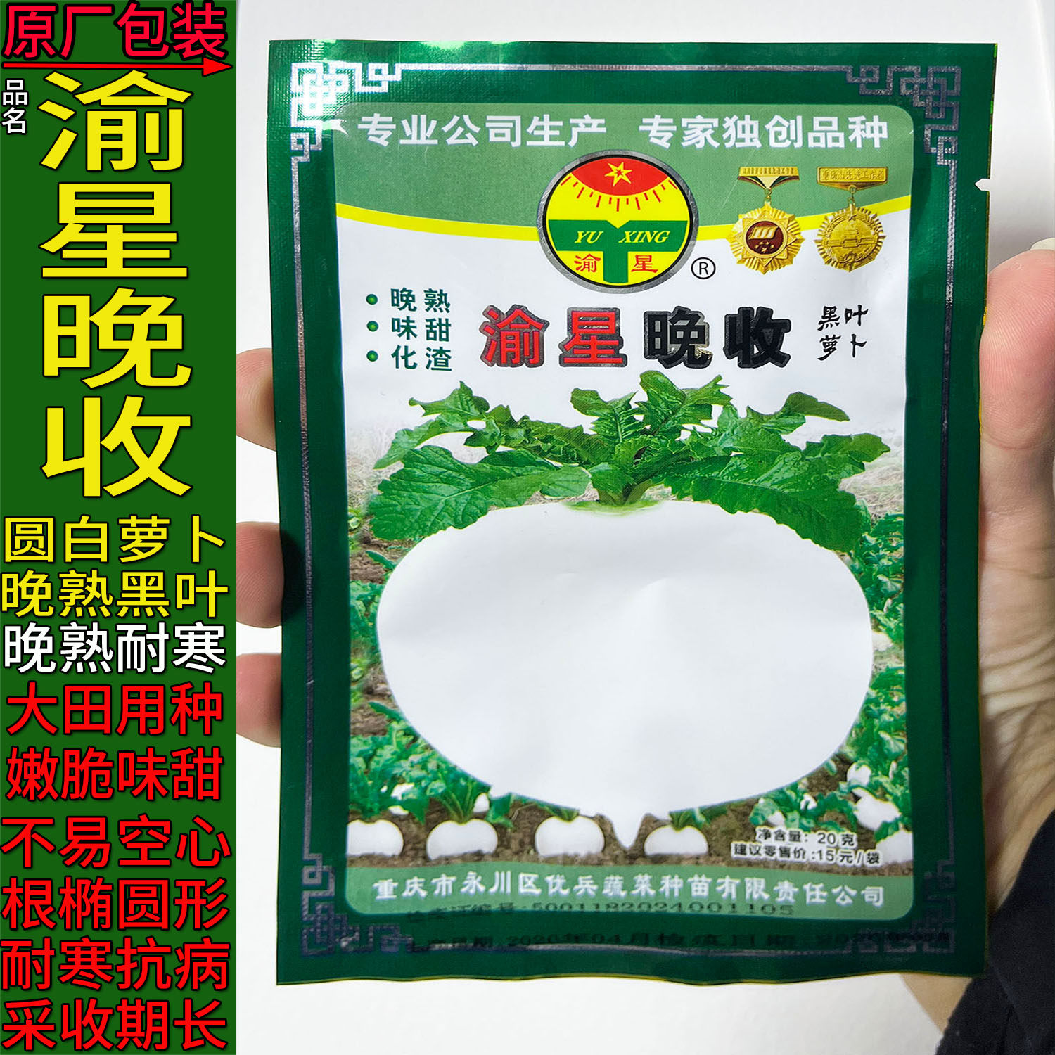 渝星晚收春不老扁圆白萝卜甜嫩种子孑籽秋冬蔬菜别名莱菔白皮白心
