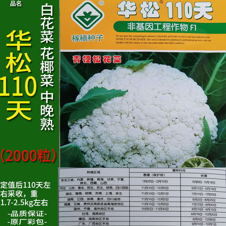 华松110天2000粒高产杂交松花菜蔬菜种子孑籽白花菜青梗甘蓝大田