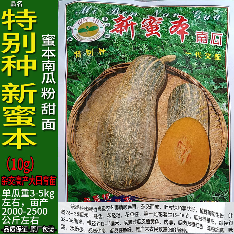 新密本10g南瓜倭瓜番瓜饭瓜种子孑籽高产番北瓜秘蜜本春夏播大棚