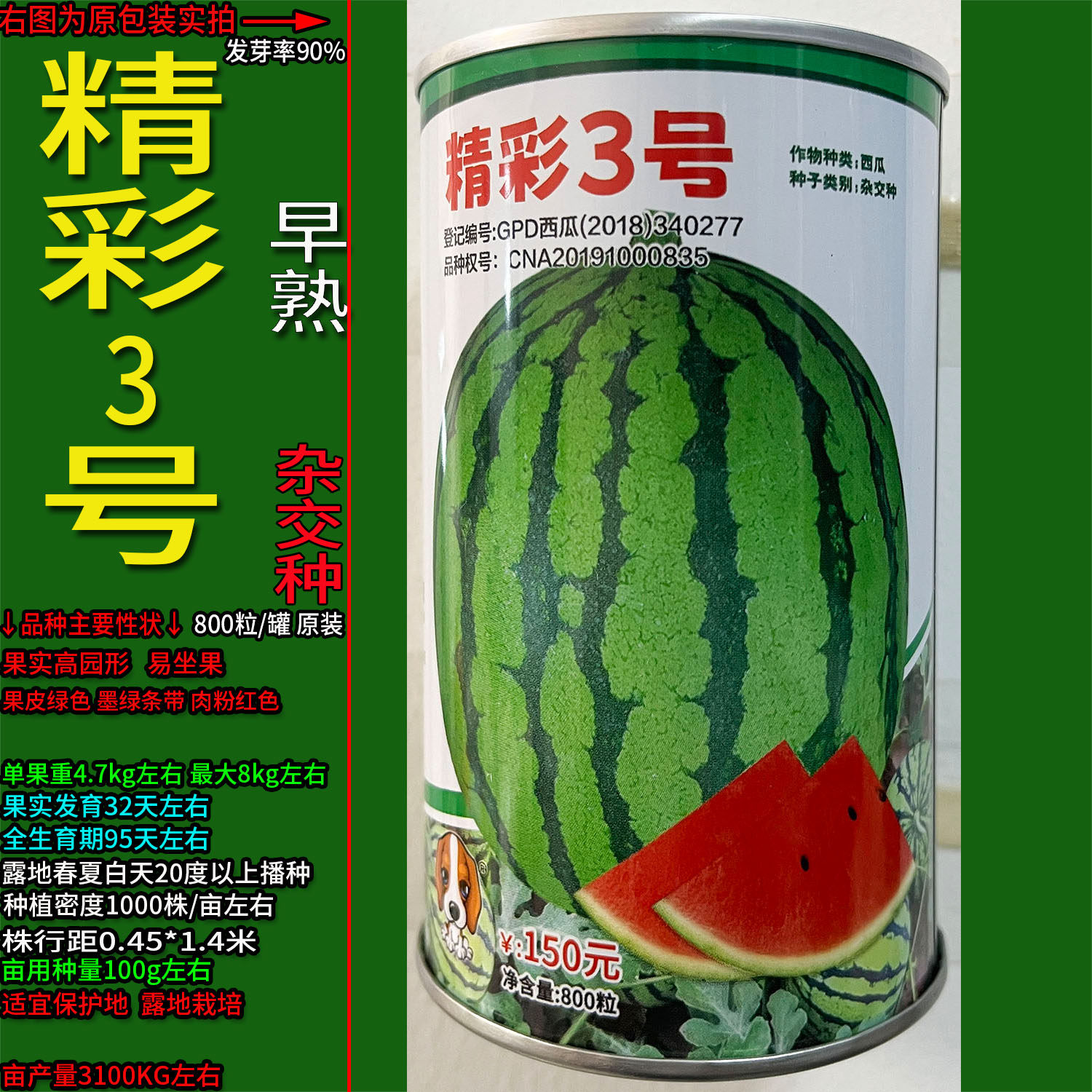 精彩3号西瓜超甜水果蔬菜种子