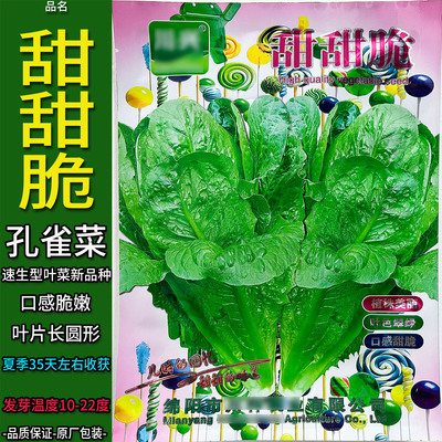 孔雀15g新型速生叶菜四季有机