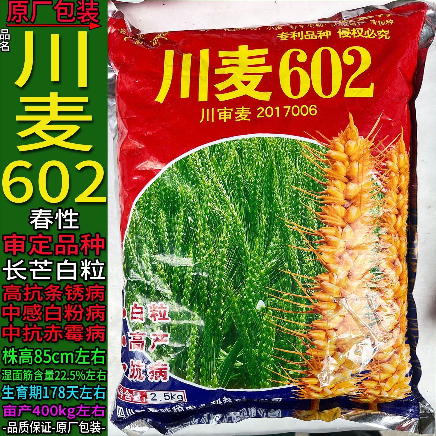 川麦602【2.5kg】原袋装小麦子种子白色颗粒面粉面条大田用种绵阳