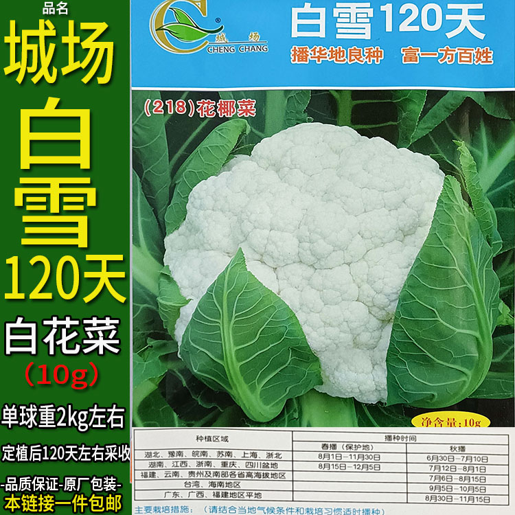 白雪120天10g白花菜椰紧花菜甘蓝花洋花菜结球花甘蓝蔬菜种子孑籽