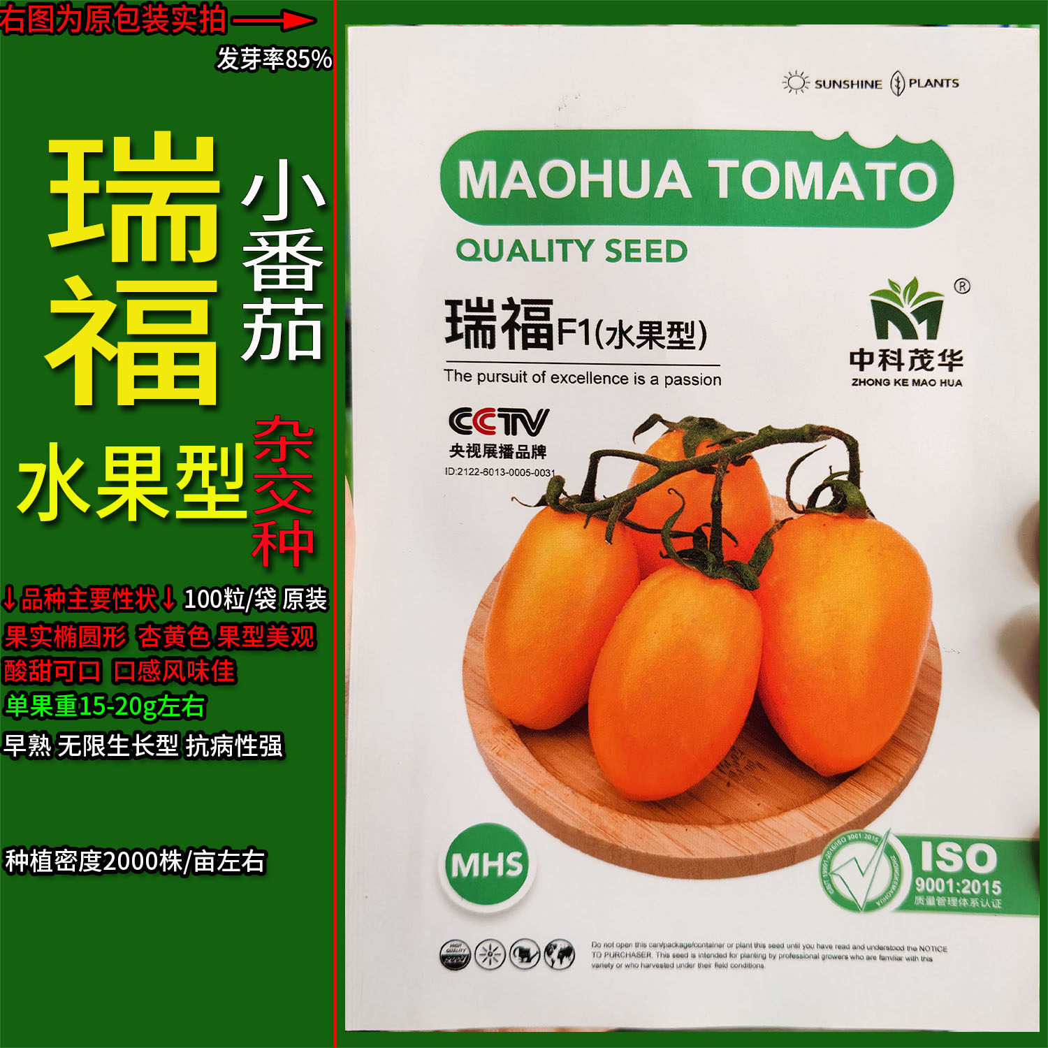水果型黄圣女果水果樱桃蔬菜种子
