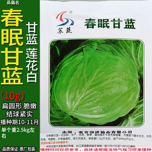 春眠10g甘藍蓮花白扁圓蔬菜種子孑籽卷心包菜椰洋脆芥藍白高麗包