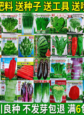 蔬菜种子四季播种阳台农家庭院盆栽生菜菠菜韭菜香菜草莓籽孑包邮