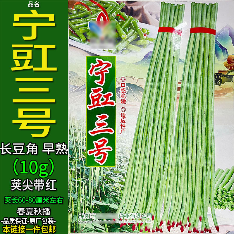 宁豇三号10g长豆角豇豆带豆春夏秋蔬菜种子孑籽脆泡酸菜盆栽大田