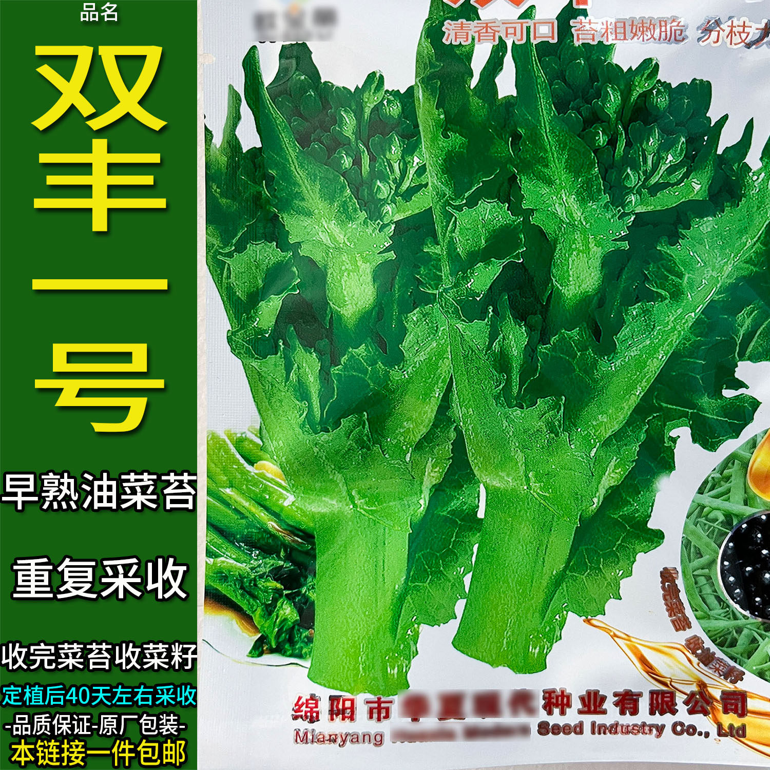 双丰一号早熟油菜苔尖种子籽蔬菜油菜苔绿芸苔油菜苗小油菜黑油菜