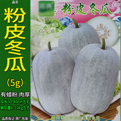 川兴粉皮冬瓜5g蔬菜种子孑籽