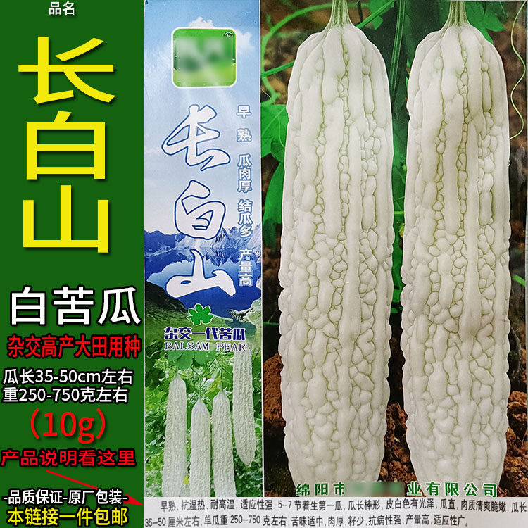 长白山10g长白苦瓜种子孑籽高产杂交别名癞葡萄凉瓜锦荔地上大田