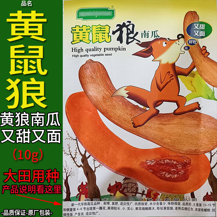 黄鼠狼10g黄狼南瓜种子孑籽高产倭瓜番瓜饭瓜番北瓜秘蜜本春夏播