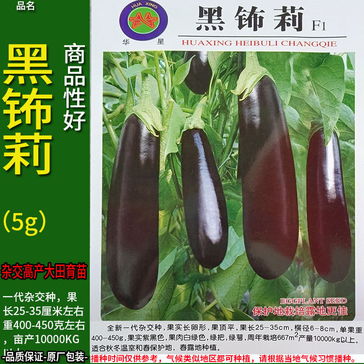 黑钸莉5g茄子蔬菜种子孑籽黑又长