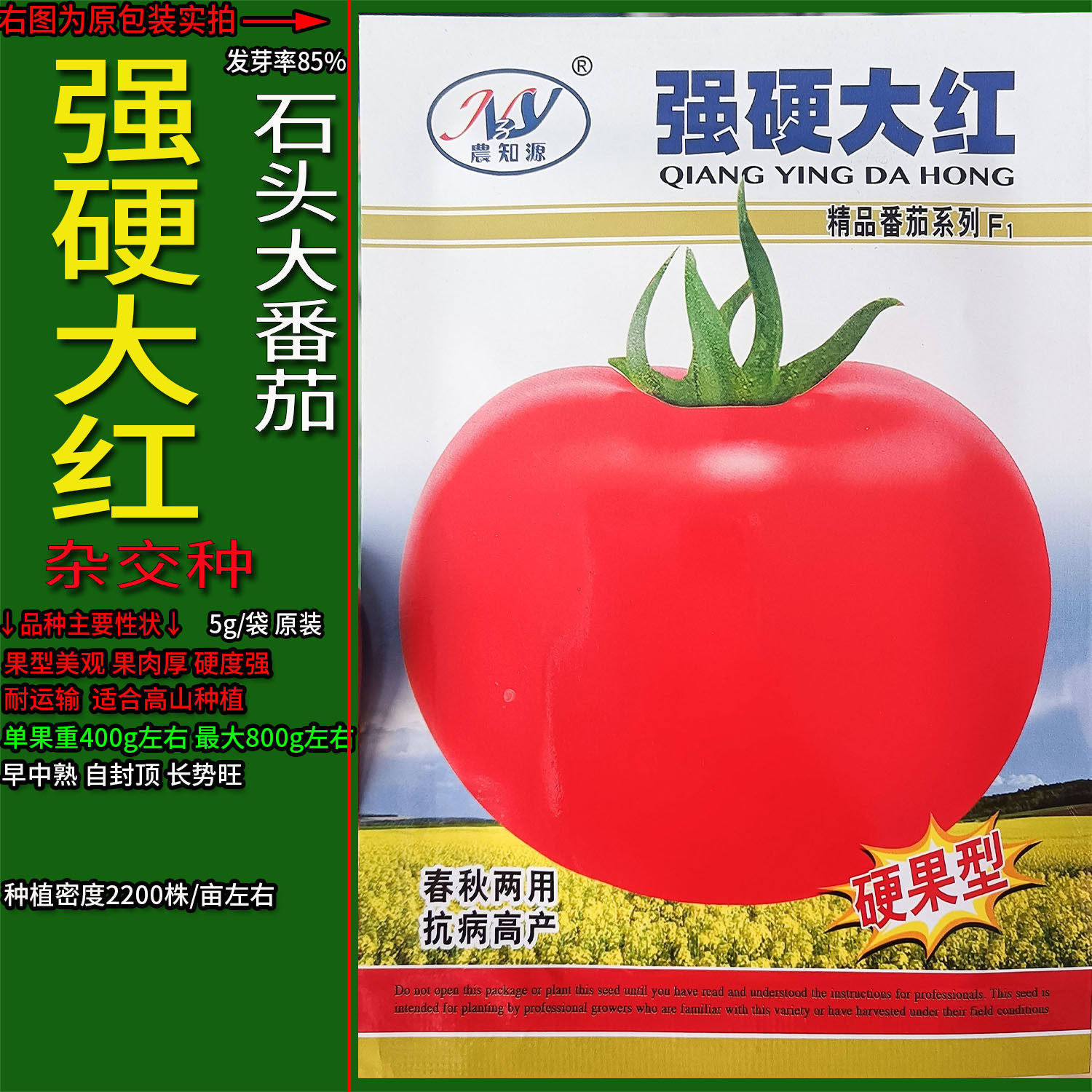 强硬大红5g硬果大西红柿石头番茄种子孑籽高产红圆蔬菜番蕃春夏秋