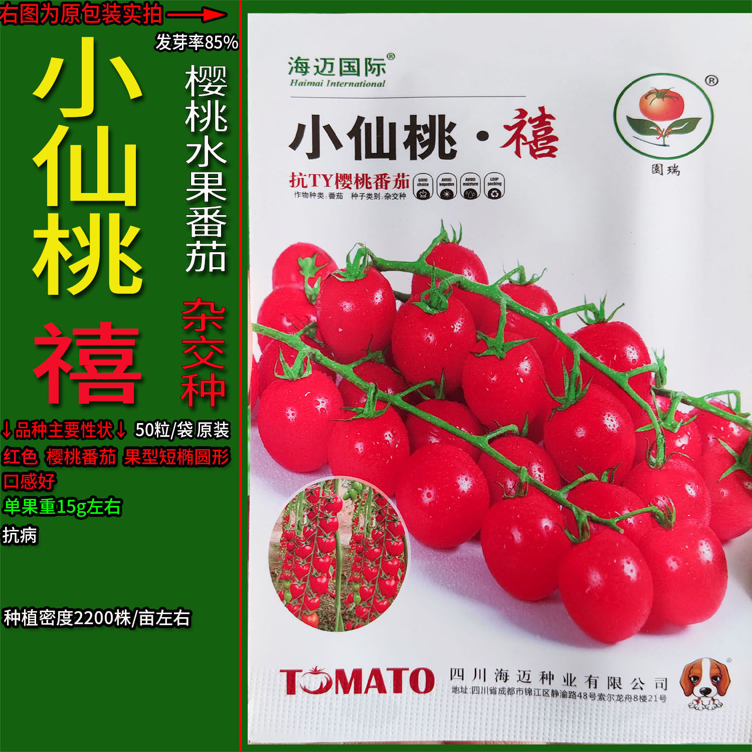 小红圣女果水果樱桃番茄蔬菜种子
