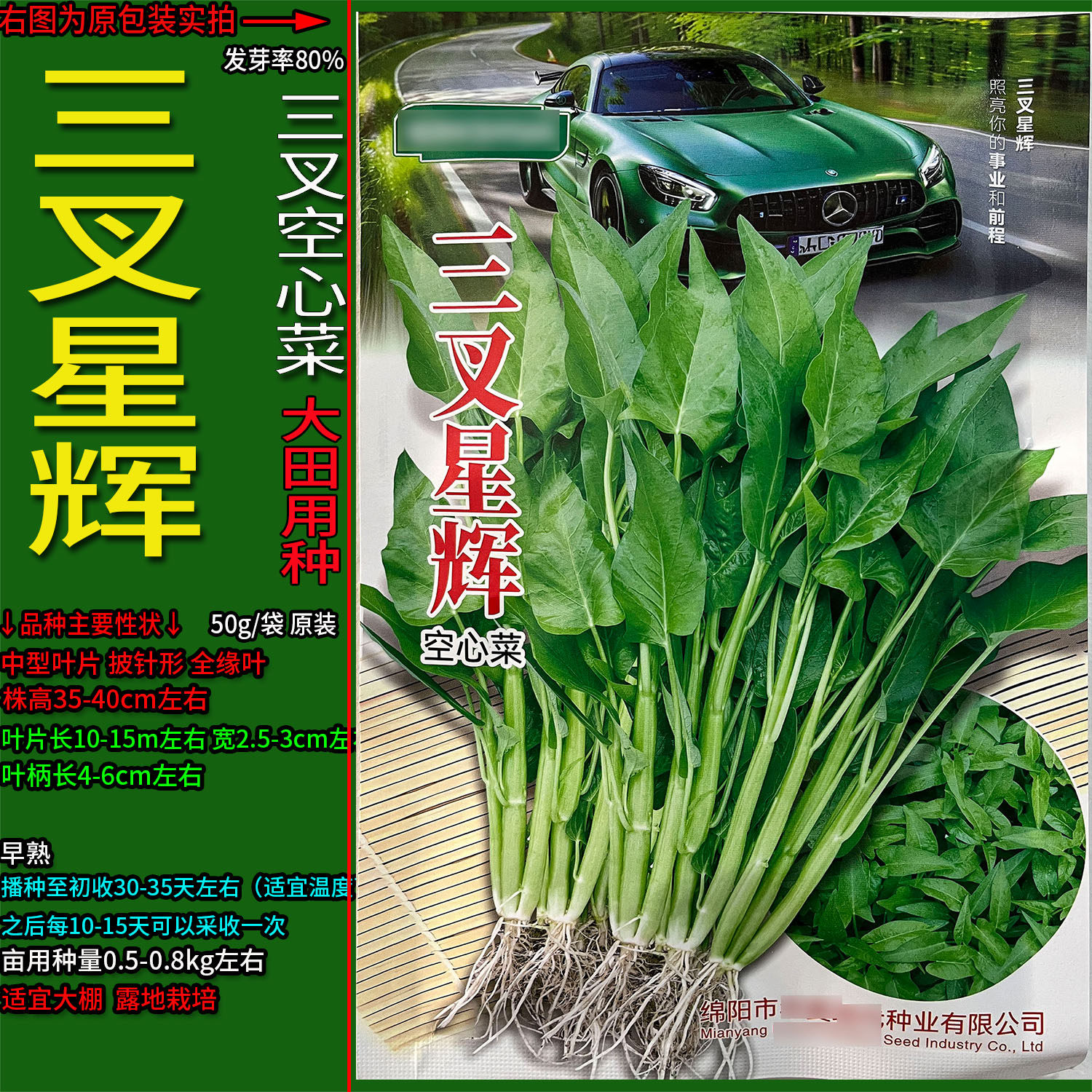 三叉空心菜水蕹菜蓊蓊菜别名四川藤藤菜通菜春夏秋阳蔬菜种子孑籽
