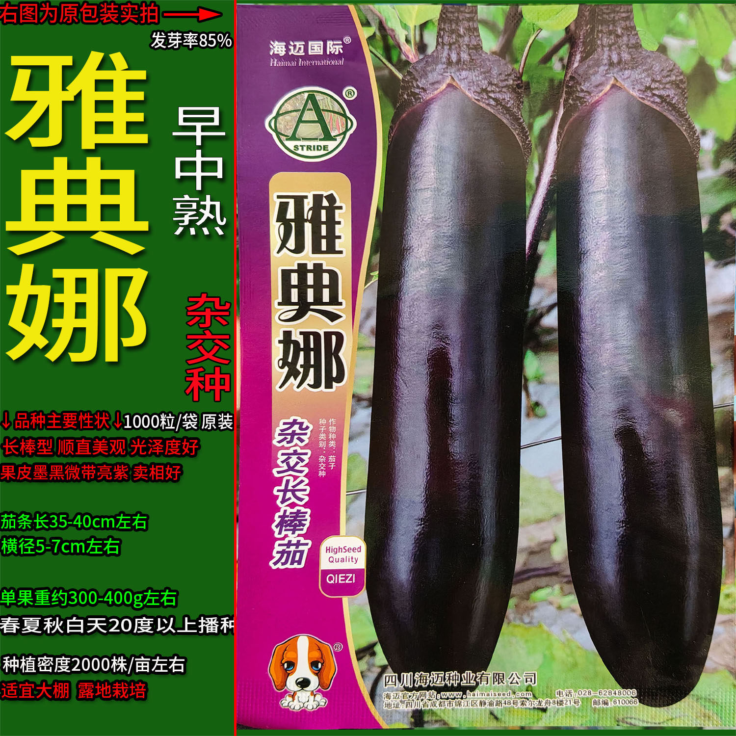 杂交长棒茄茄子蔬菜种子黑亮紫色